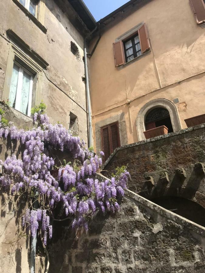 Centralissima Maison Di San Francesco, Unica E Accogliente! Sutri Exteriör bild
